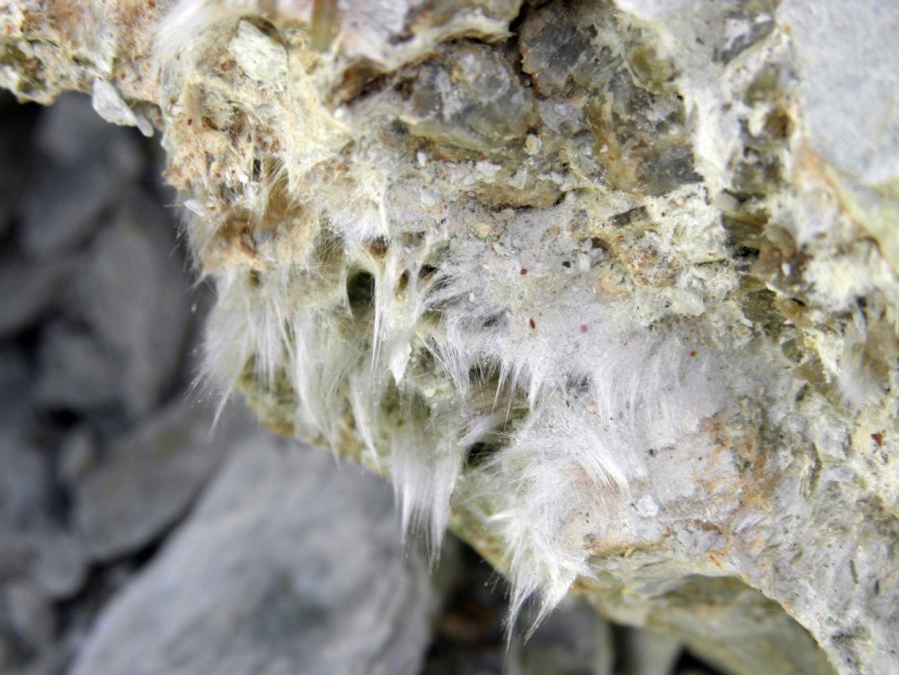 Actinote-amiante en fibres verdâtres