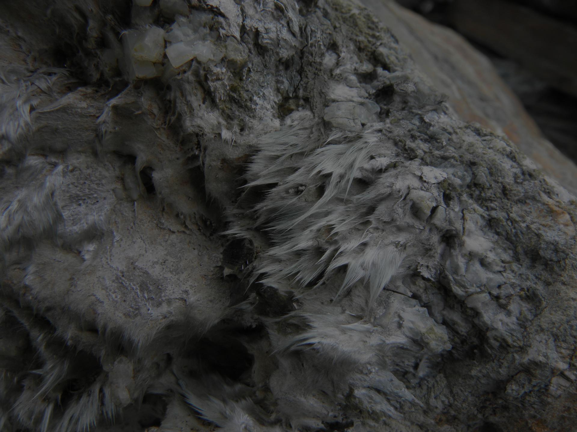 Veine d'actinolite-amiante