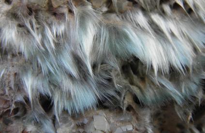 Actinolite-amiante dans des basaltes ophiolitiques