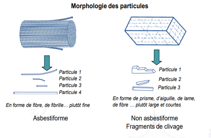 Morphologie des particules