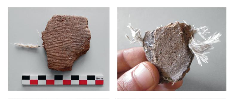 Tesson peigné et tesson simple avec fibres d’amiante dépassant de la tranche
© K. Peche-Quilichini, Cullettività di Corsica - Collectivité de Corse, Musée de l'Alta Rocca
Kewin Peche-Quilichini,"De la signature technique à la signature ethnique", Archéopages, 45 | 2018, 20-31.
Tesson avec fibres d'amiante
